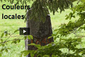 RTS Couleurs locales